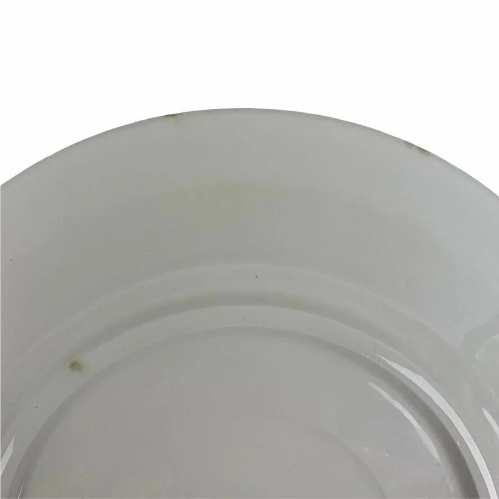 Set of 2 Pier 1 Handpainted Salad Plates Fruit Italy Lunch Display 9.5